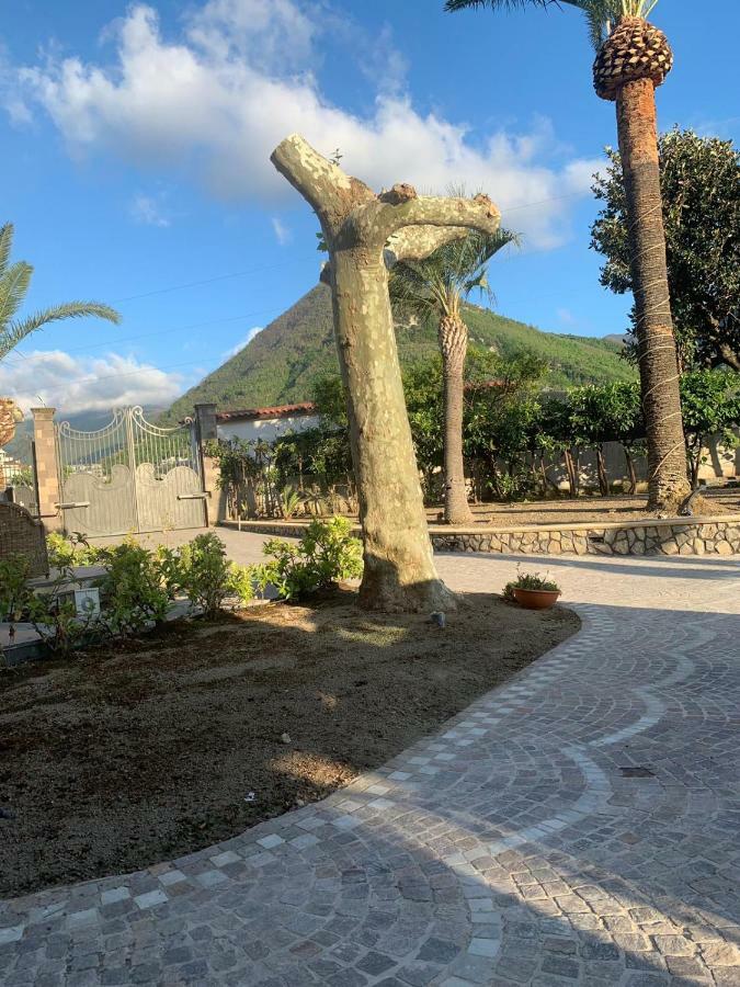קסטלמרה די סטביה Villa Lucia Terrazza Panoramica מראה חיצוני תמונה